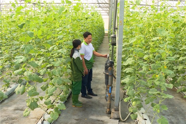 Nâng cao Chỉ số đổi mới sáng tạo cấp 32Win link đăng nhập