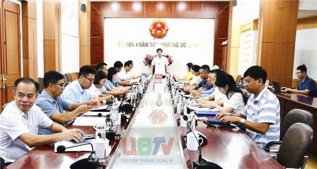 UBND phường 32Win12 com tại tài khoản giao ban thường kỳ
