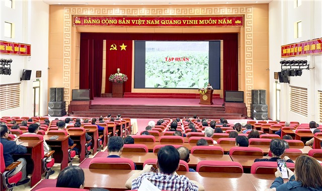 MTTQ Thành phố tập huấn kỹ thuật trồng hoa và rau an toàn theo tiêu chuẩn VietGAP 