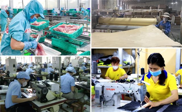 Hướng dẫn sử dụng kinh phí hỗ trợ 32Win03 nổ hũ tư nhân kinh doanh bền vững