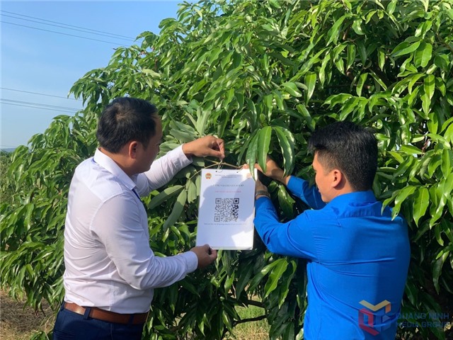 Phát huy sức trẻ, hỗ trợ người dân chuyển đổi số