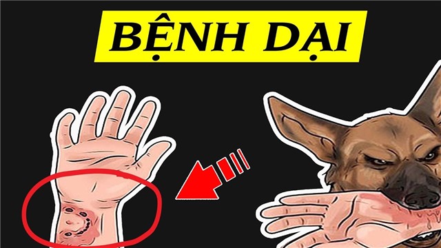 Link Nhà Cái 32win.com Chính Thức tiếp tục tập trung tháng cao điểm phòng, chống bệnh Dại