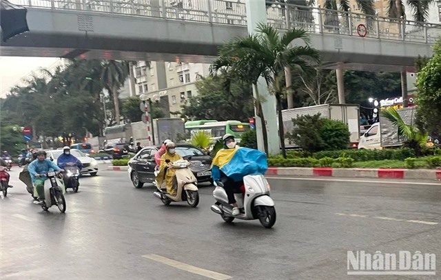 Ngày 19/5, Bắc Bộ có mưa rào và dông rải rác, Nam Bộ ngày nắng