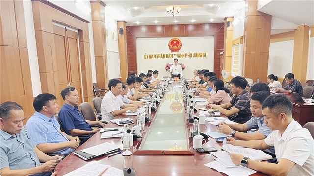 Hội nghị giao ban thường kỳ UBND thành phố