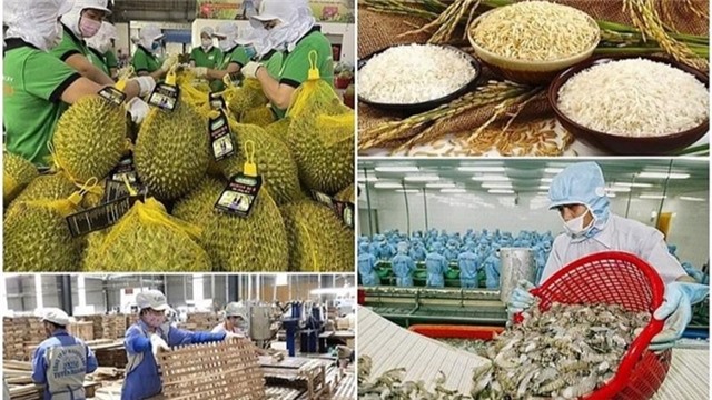 Ban hành kế hoạch đẩy mạnh xuất khẩu nông, lâm, thủy sản năm 2025