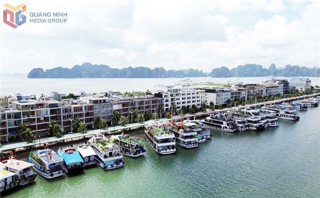 Tạm ngừng cấp phép tàu từ 13 giờ ngày 18/8