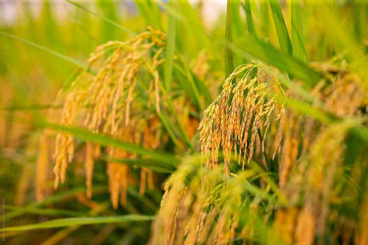 Thúc đẩy phát triển dịch vụ y tế tư nhân