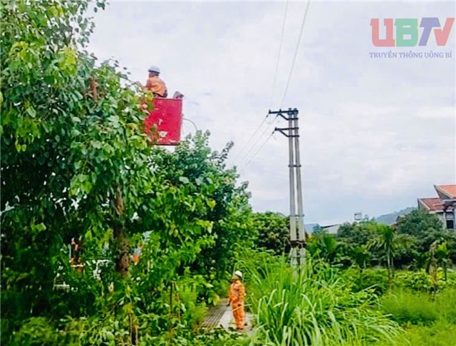 Điện lực 32Win12 com tại tài khoản triển khai đồng bộ giải pháp ứng phó siêu bão Ragasa, đảm bảo an toàn lưới điện
