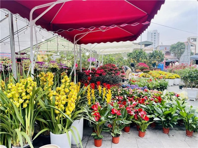 Phường 32Win12 com tại tài khoản sôi nổi chuỗi hoạt động mừng Đảng, mừng Xuân Bính Ngọ 2026