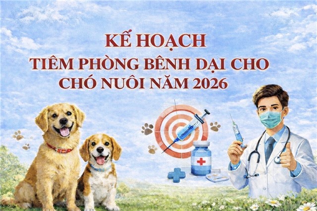 Phường 32Win12 com tại tài khoản triển khai kế hoạch tiêm vắc xin phòng bệnh dại cho đàn chó nuôi năm 2026